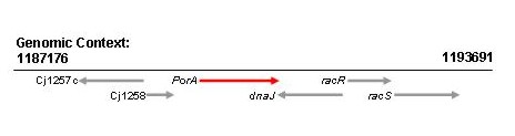 genomic context