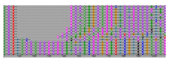 peptide diversity